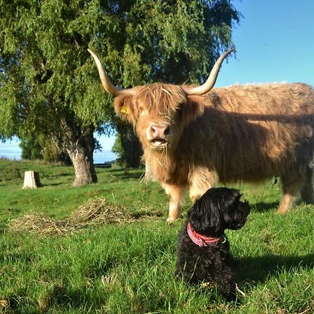 Highlands On Homestead Oamaru Dış mekan fotoğraf