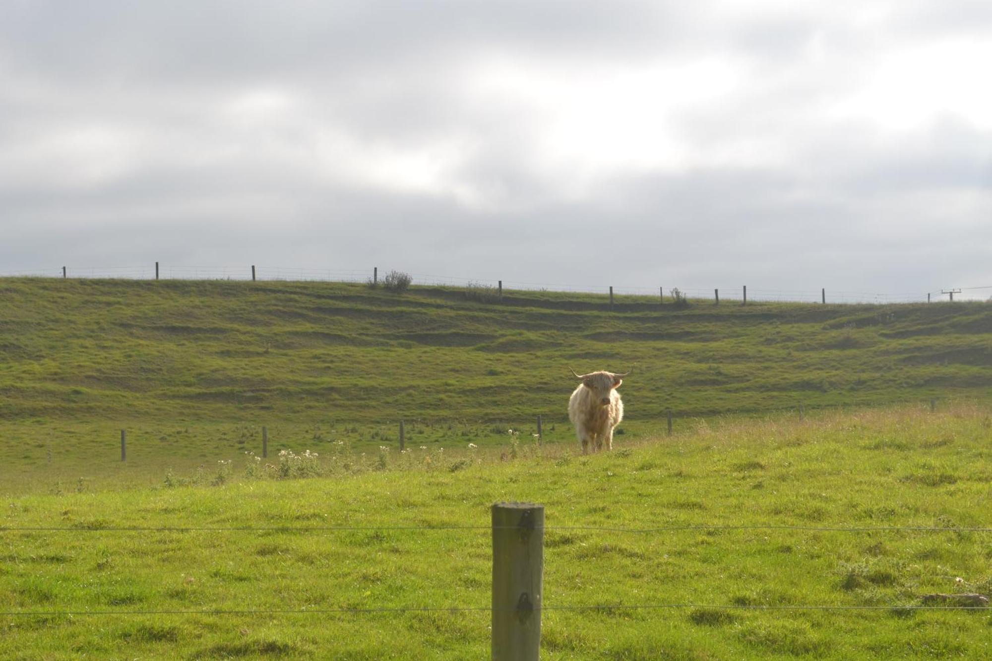 Highlands On Homestead Oamaru Dış mekan fotoğraf