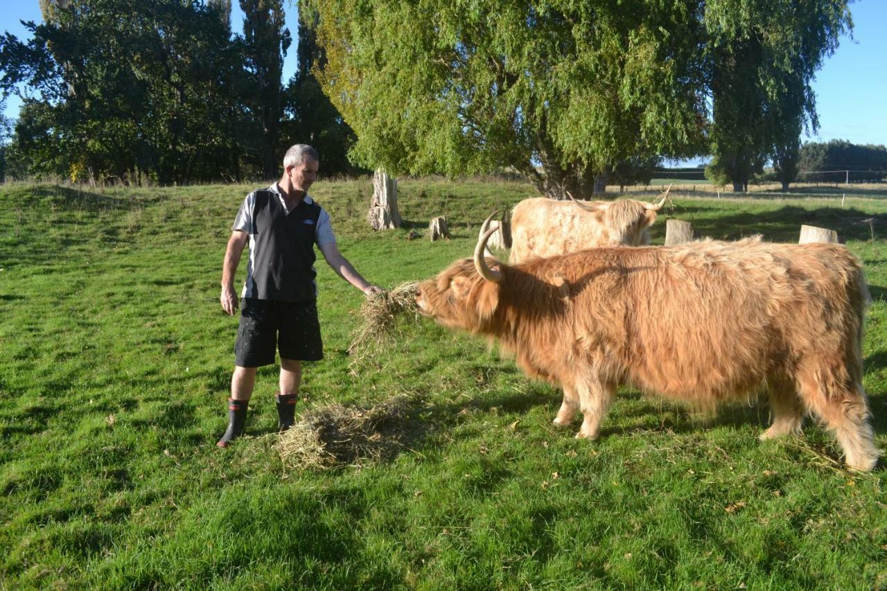 Highlands On Homestead Oamaru Dış mekan fotoğraf