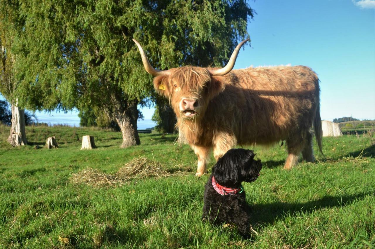 Highlands On Homestead Oamaru Dış mekan fotoğraf
