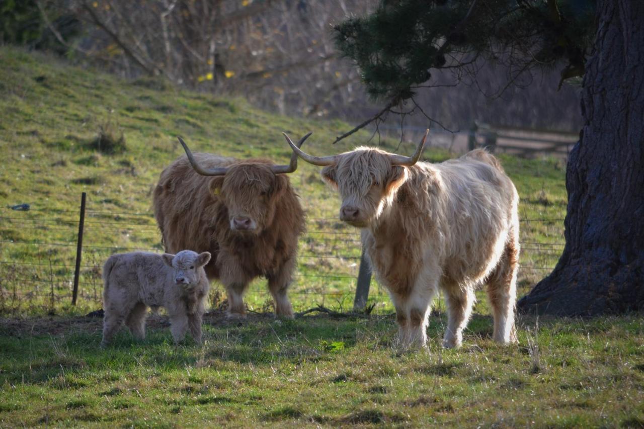 Highlands On Homestead Oamaru Dış mekan fotoğraf